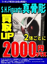 真骨彫 2000