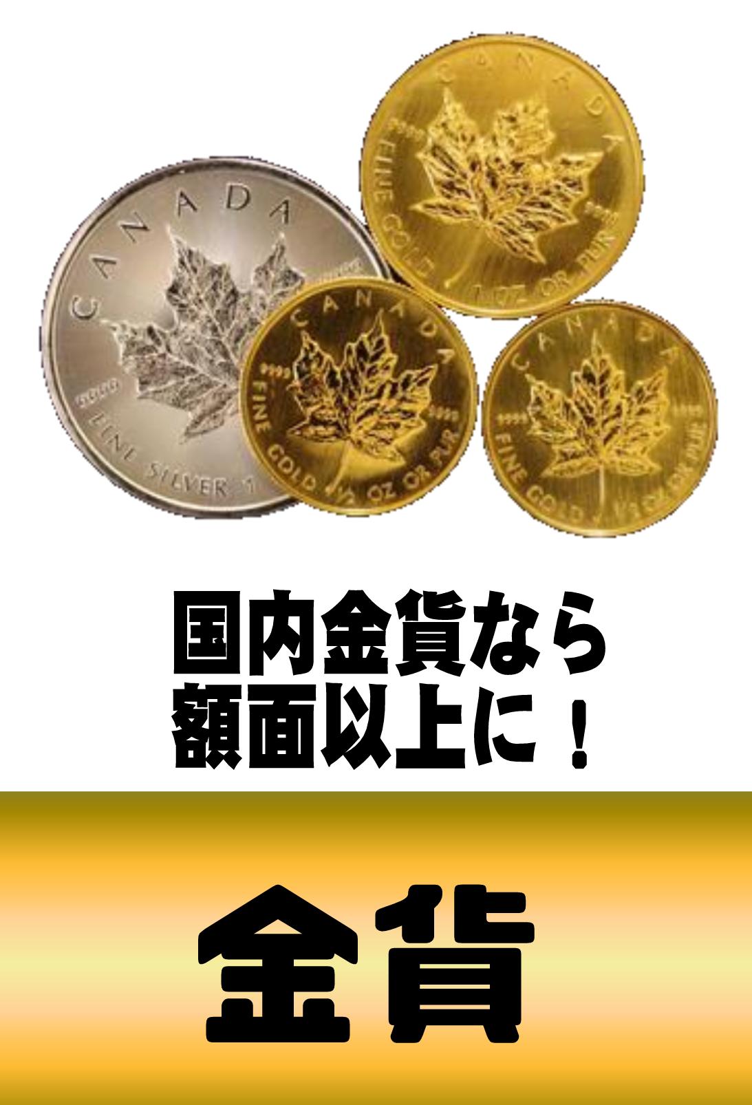 2013金貨